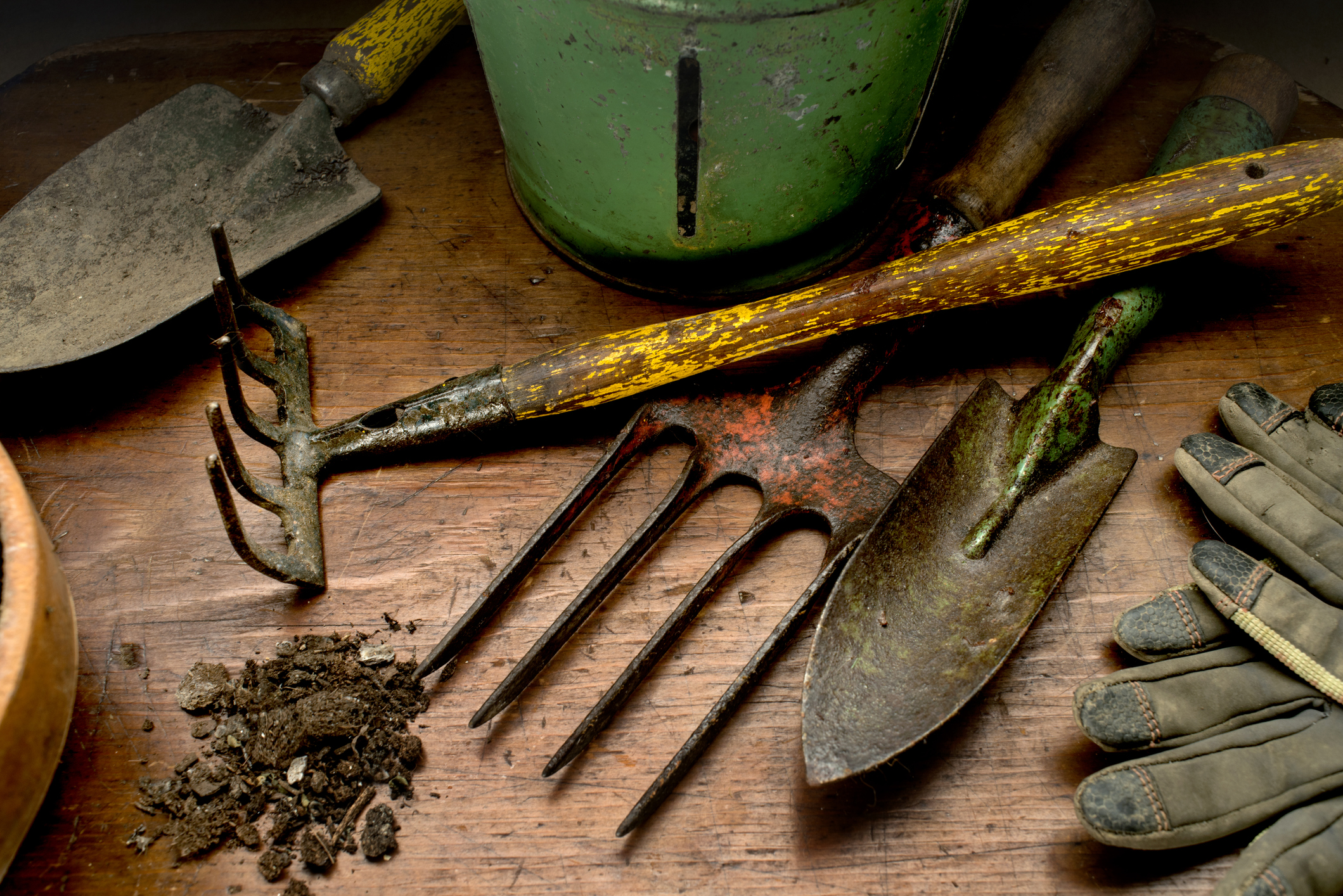 how to use home Wastage for Gardening