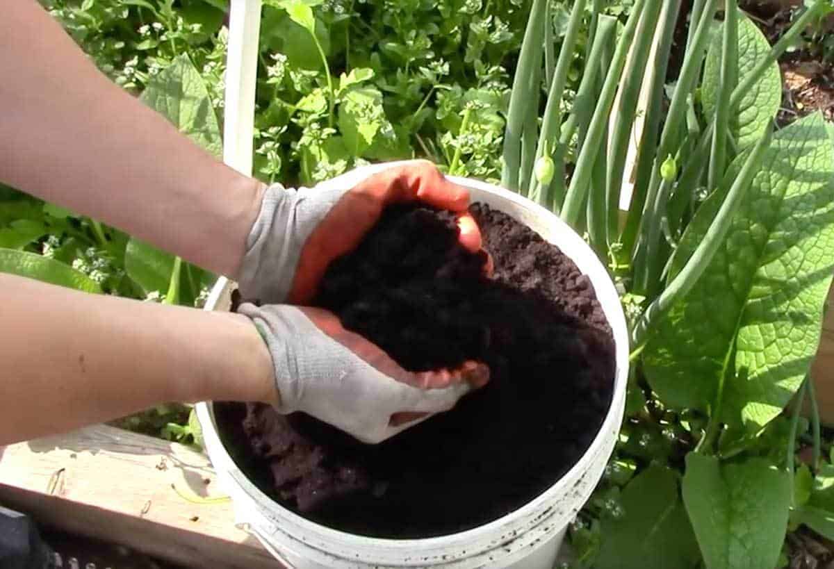 How to us Coffee for gardening