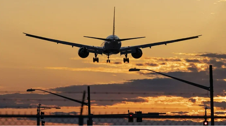 Pilot experiences real 'Snakes on a Plane' moment after finding