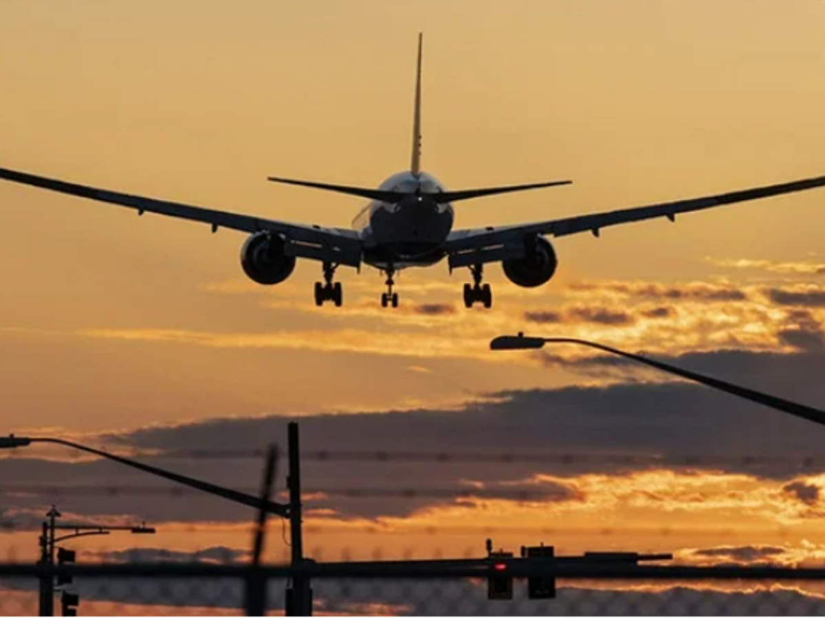 Pilot Makes Emergency Landing After Finding Lethal Cobra Onboard Flight