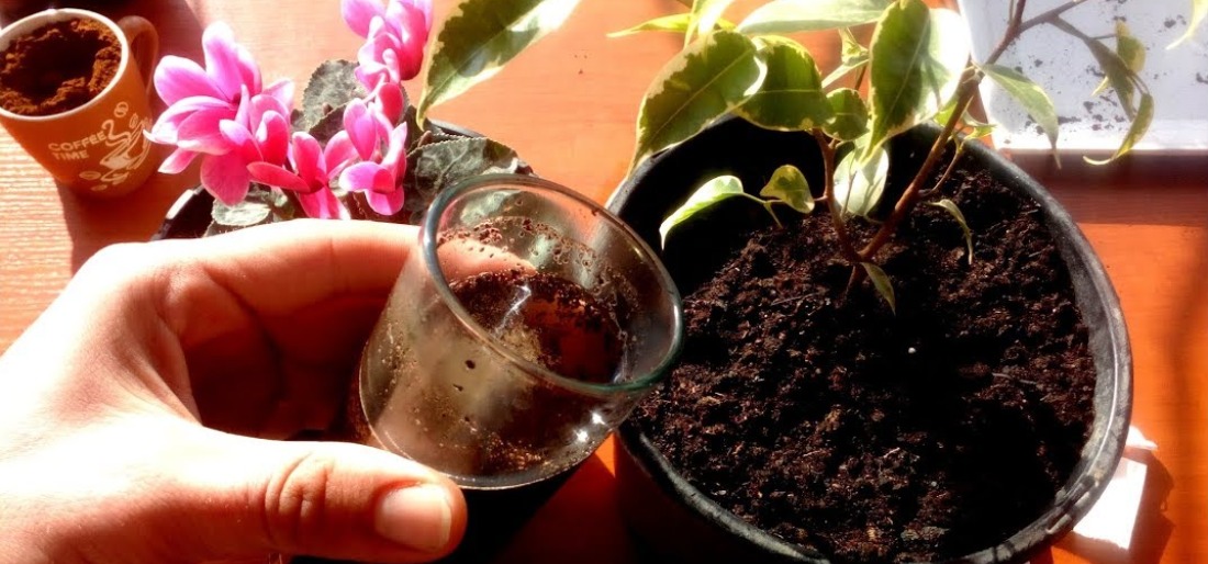 coffe-643fcc40909a2 Indiatimes