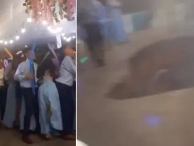 Disaster Strikes Graduation Party as Dance Floor Collapses in Viral Video