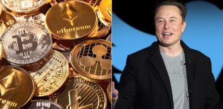 Elon Musk's Twitter To Allow Users To Trade Stocks & Cryptocurrency From This Week