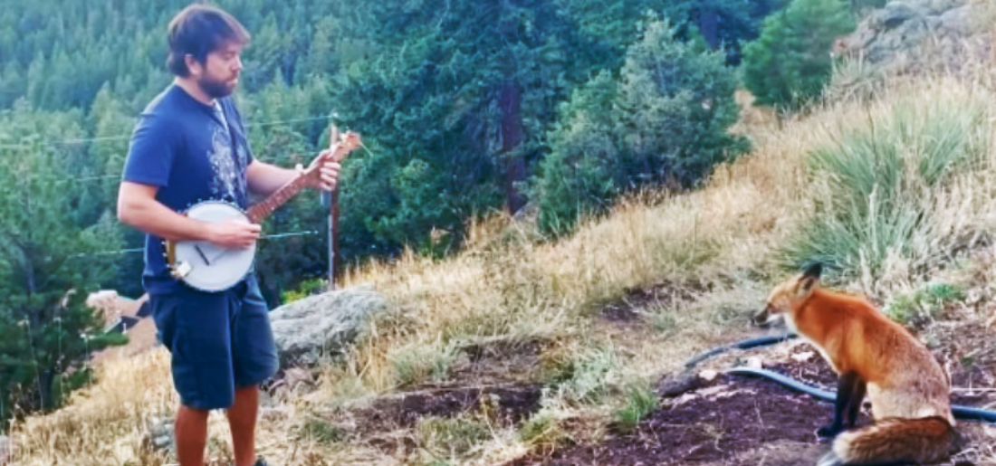 A Wild Encounter Man and Fox Connect Through the Power of Music