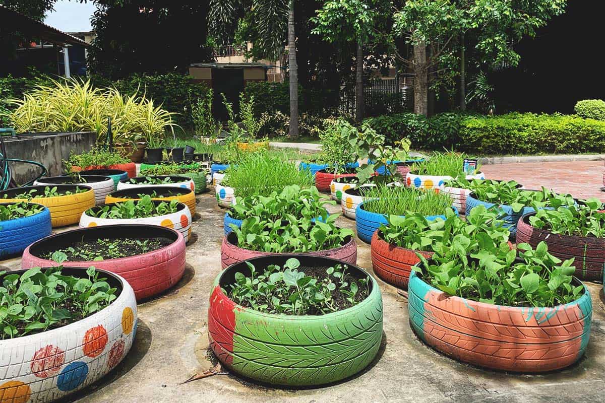 how to use home Wastage for Gardening