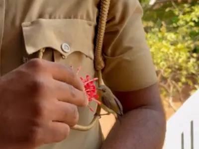 Kerala Police Feeds Bird Perched On His Uniform 