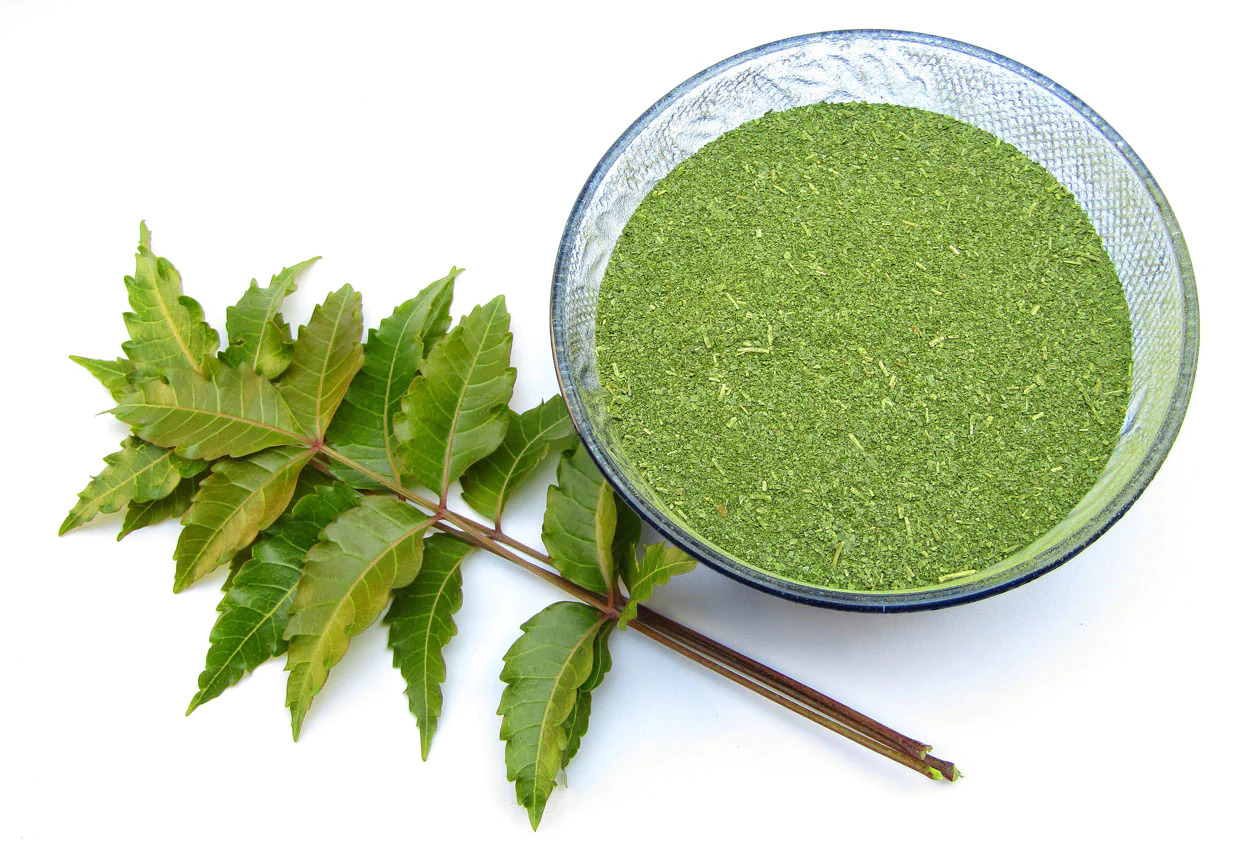 Neem Powder