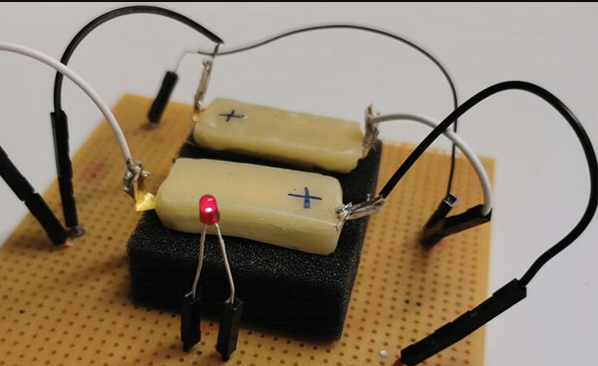 Scientists develop fully rechargeable edible a battery 