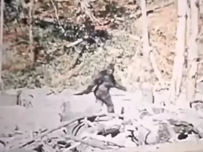 Unmasking The 'Bigfoot' Mystery: AI Reveals Truth Behind Infamous 1960s Footage