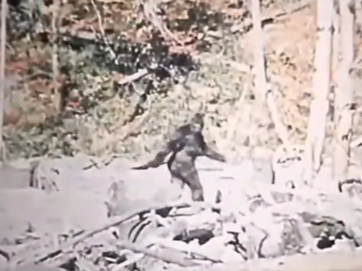 Calling all Patterson Gimlin Film Skeptics: Prove that Patty is a