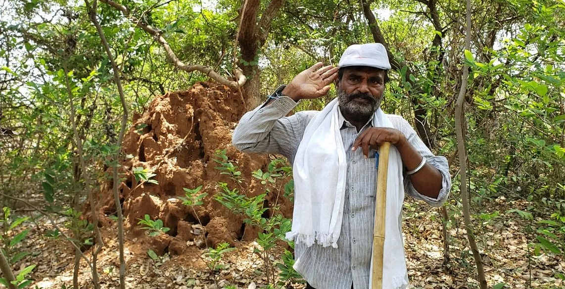 dusharla satyanarayana forest