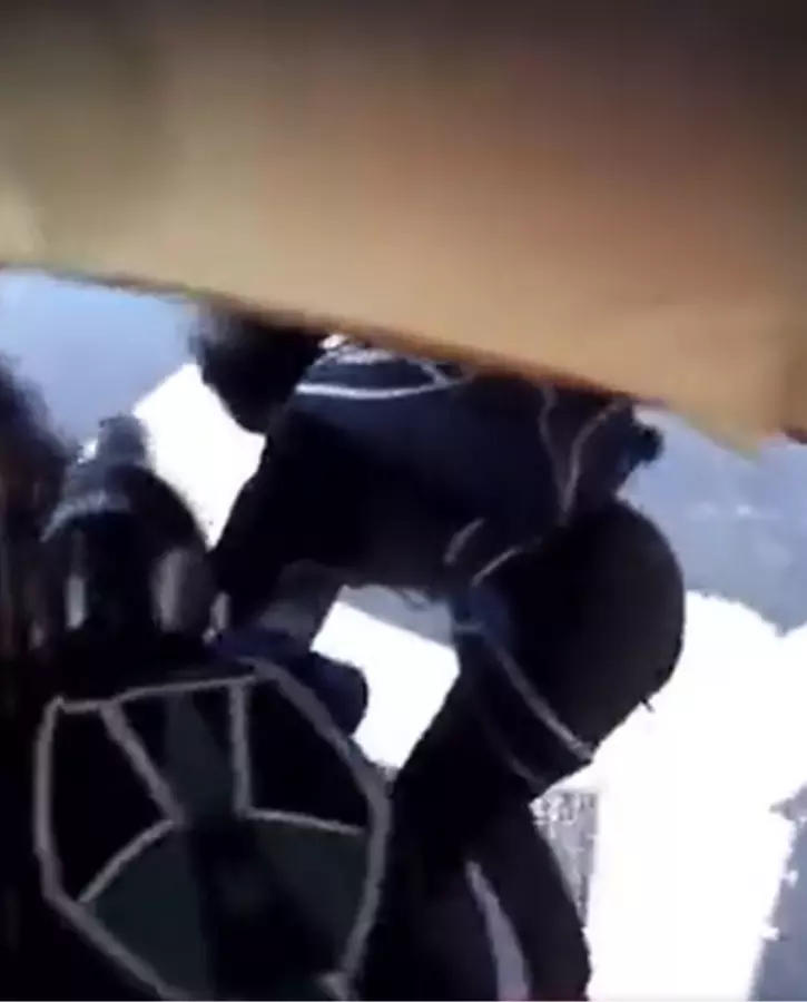 Planes Collide Mid-Air, Skydivers Survive Crash In Viral Video