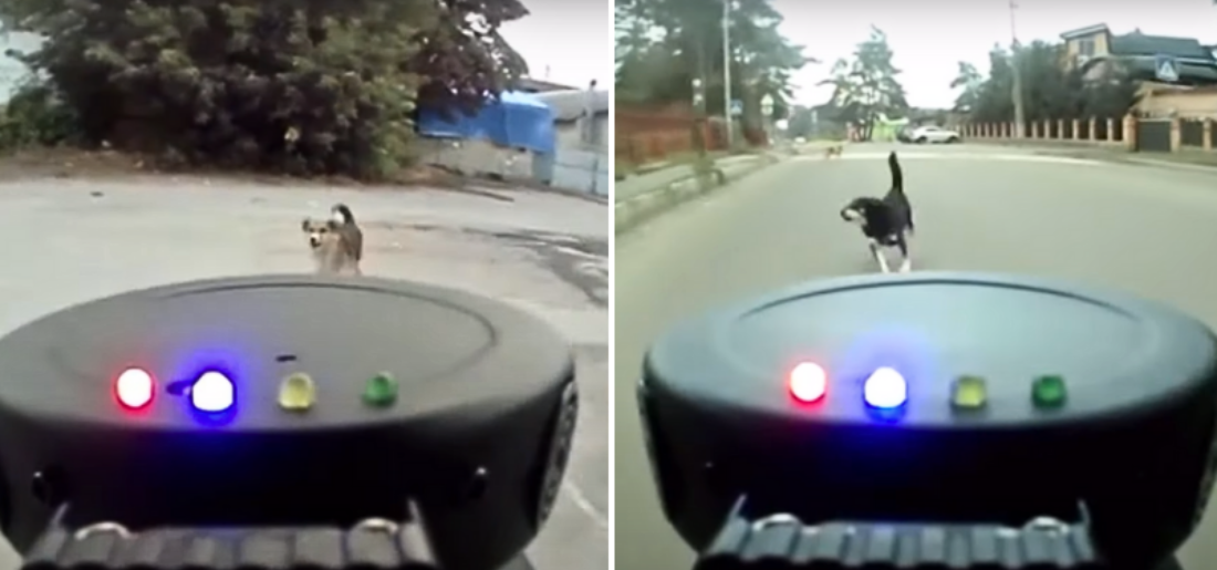 Man Develops Ultrasonic Dog Repellent for Safer Bike Rides