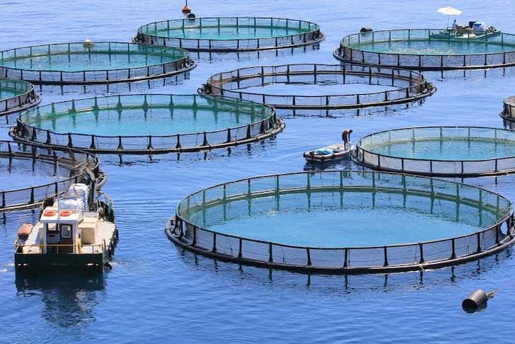 aquaculture