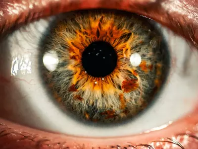 Did Humans Get Vision From Bacteria? New Study Reveals Fascinating Details