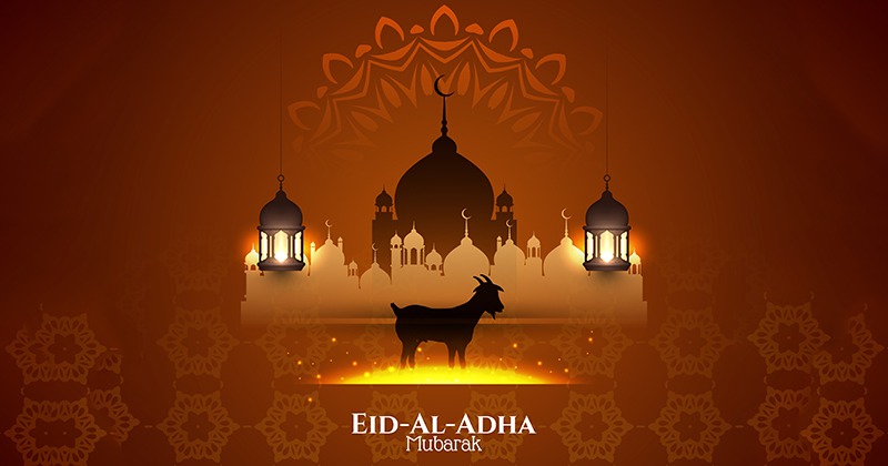 Premium Vector | Eid ul adha arabic calligraphy bakra eid