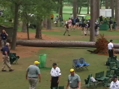 giant trees fall on golfers