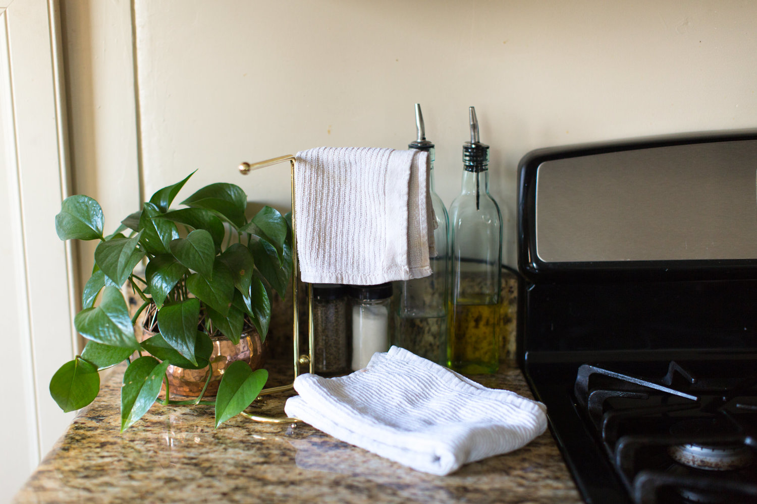 how to use home Wastage for Gardening