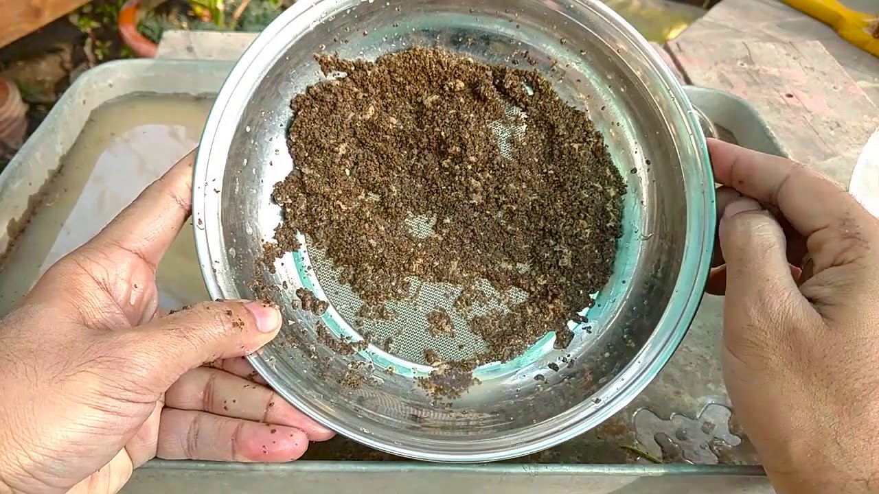 How to make tea leaf Fertilizer