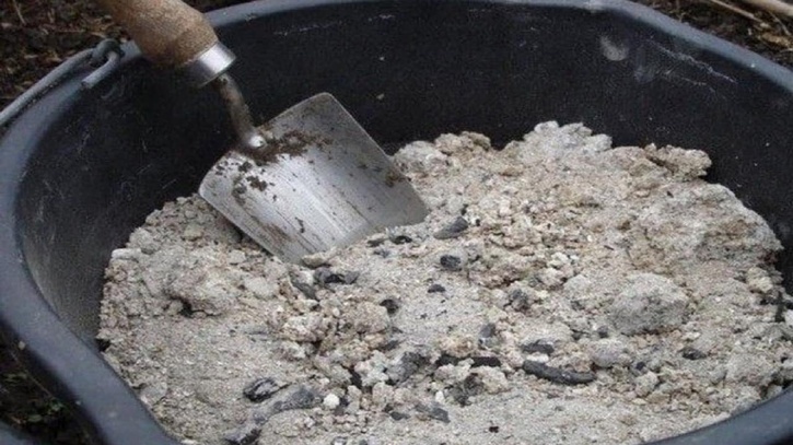 How to use wood ash for plant