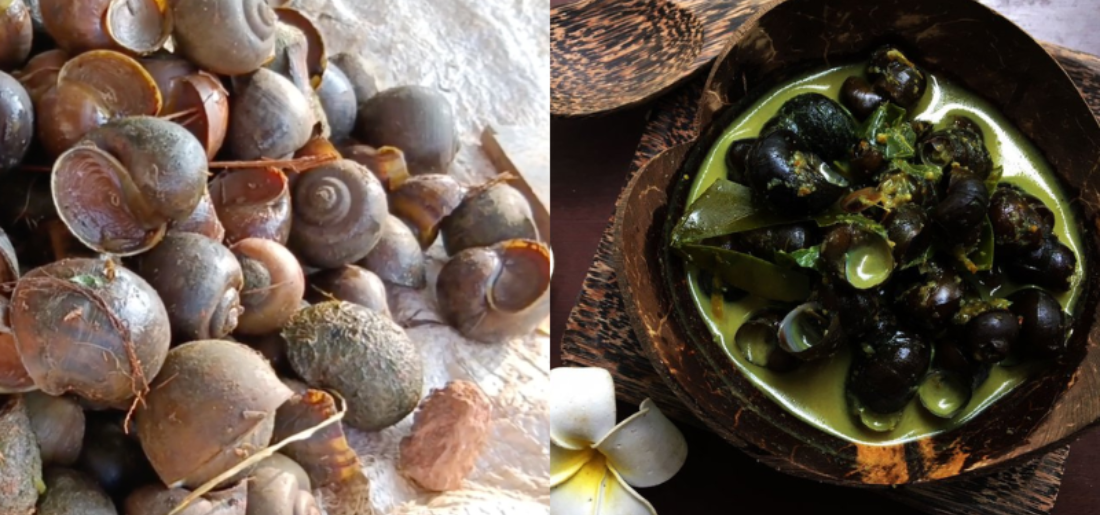Andhra Pradesh's Snail Curry Gains Popularity