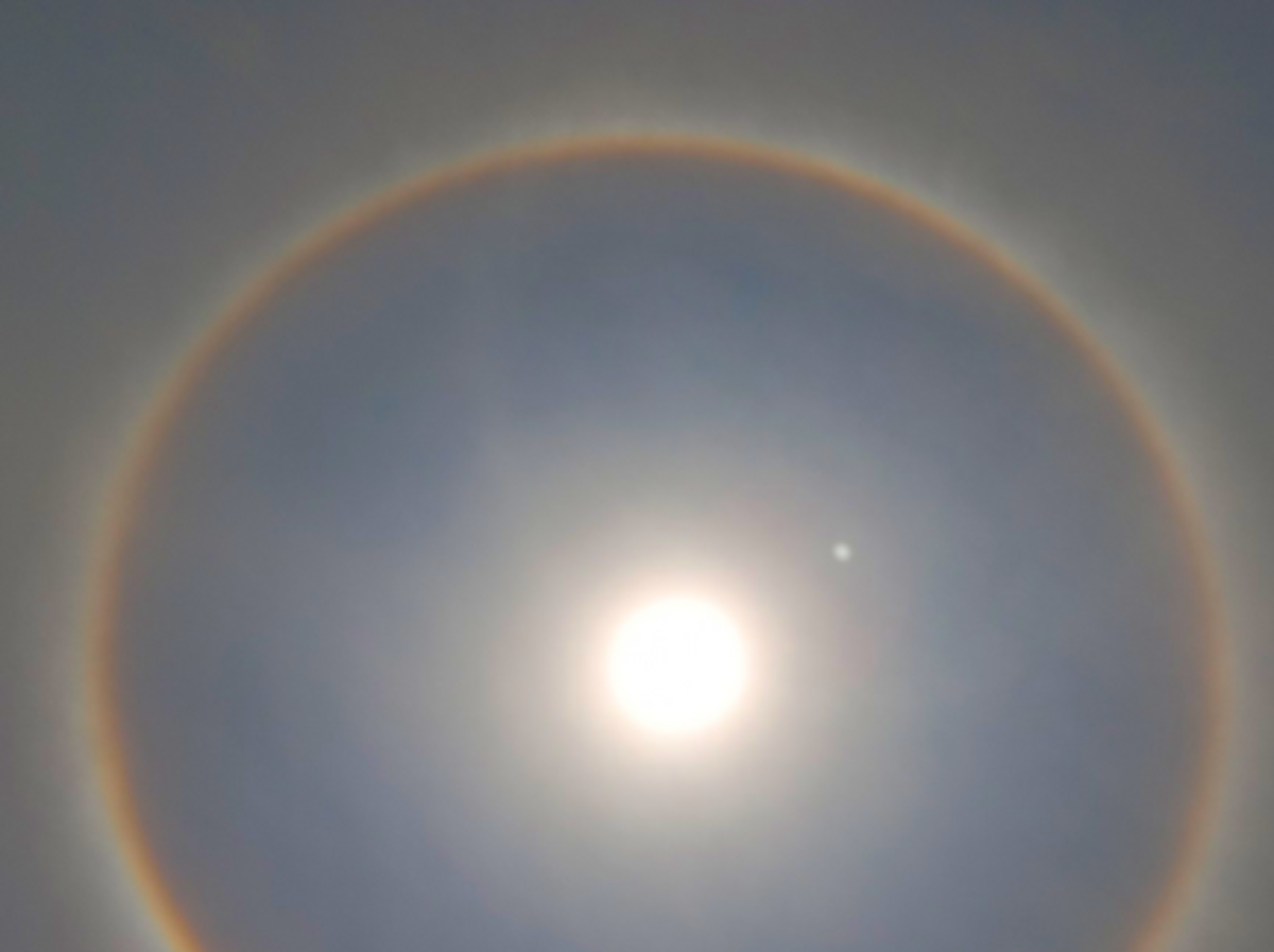 A Stunning Rainbow Halo Appears Around the Sun, Triggering Fears of  Apocalypse and Arrival of Aliens | Natural phenomena, Sky aesthetic, Nature