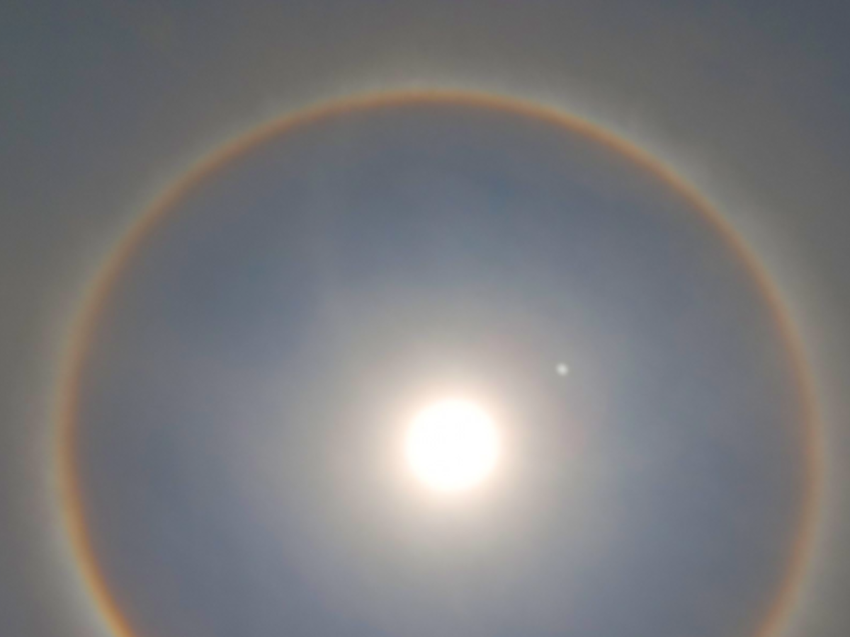 What are sun halos, why do they happen?