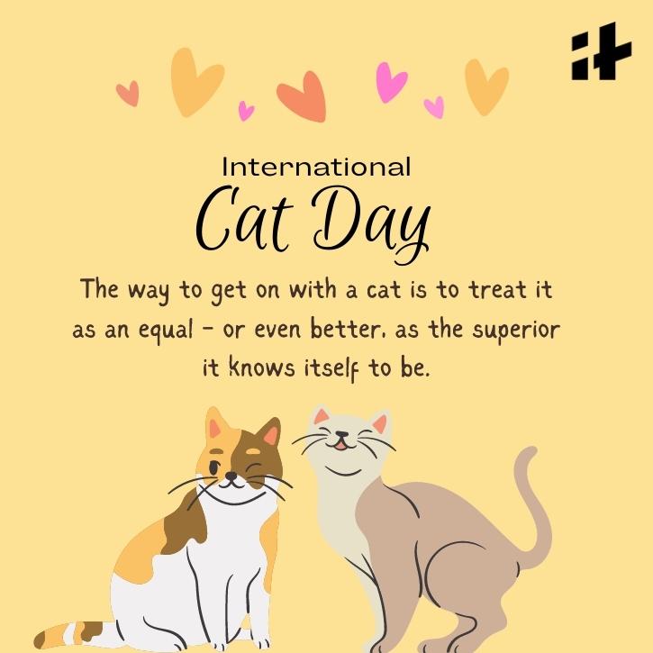 Happy #InternationalCatDay 😻 Day 1 for August