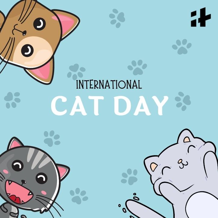 Happy #InternationalCatDay 😻 Day 1 for August