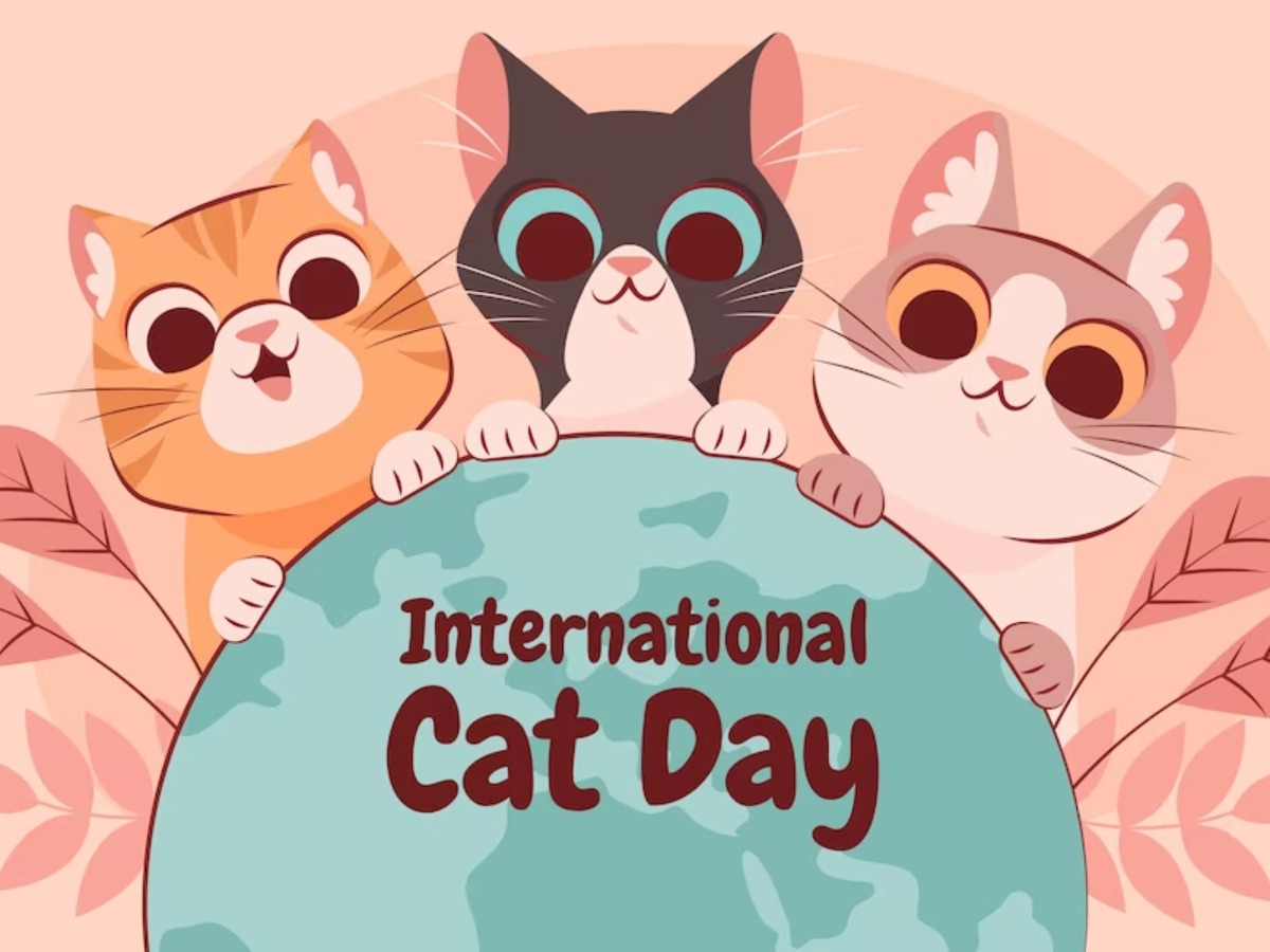 International cat store day