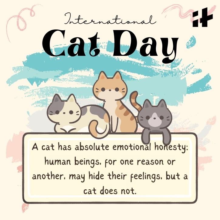 International Cat Day 2023 Best Wishes, Images, Quotes, Greetings