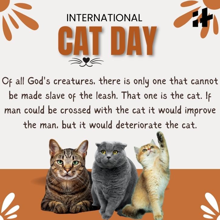 International Cat Day 2025 Best Wishes, Images, Quotes, Greetings