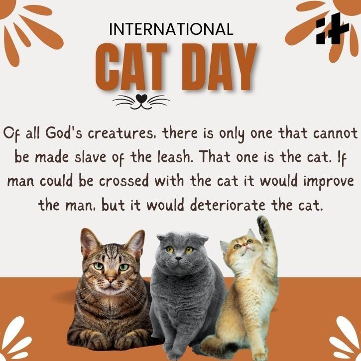 International Cat Day 2023 Best Wishes, Images, Quotes, Greetings