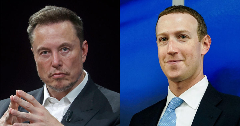 Musk Calls Zuckerberg 'Chicken' After He Calls Off The Cage Fight