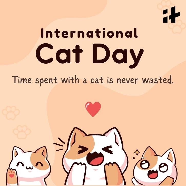 International Cat Day 2023 Best Wishes, Images, Quotes, Greetings ...