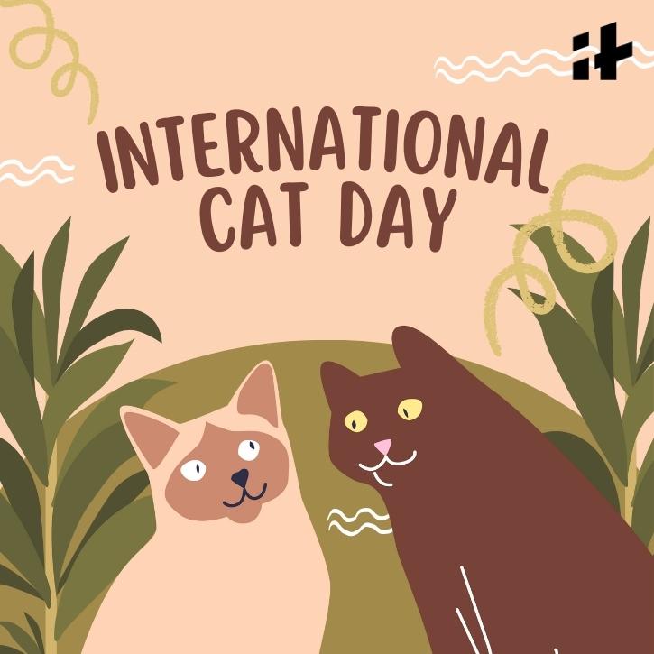 International Cat Day 2023 Best Wishes, Images, Quotes, Greetings