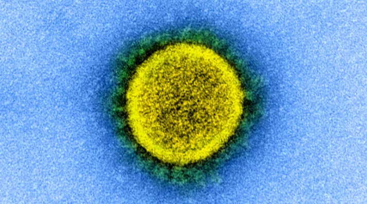 A Highly Mutated Version Of The Covid Virus Ba.2.86 Has Been Found In Several Countries