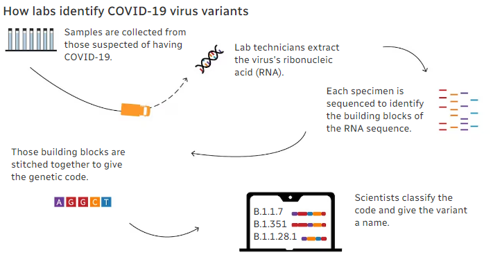 COVID Virus Variant Ba.2.86 Shows Up In Multiple Countries