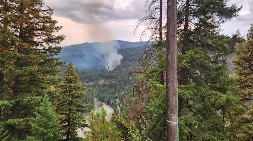 A Wildfire Forced The Evacuation Of A Music Festival Near Princeton