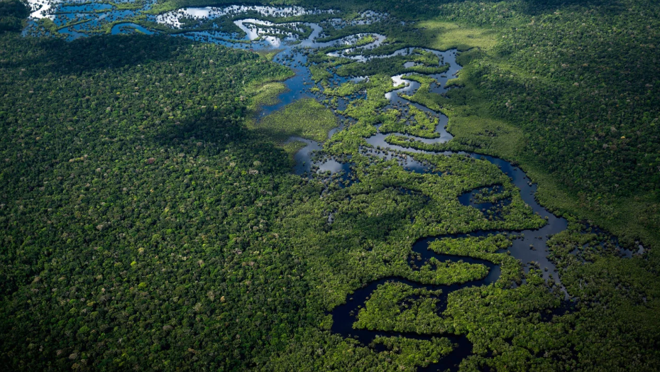 Amazon Deforestation Reaches New Low Brazil Reports 66% Drop In July