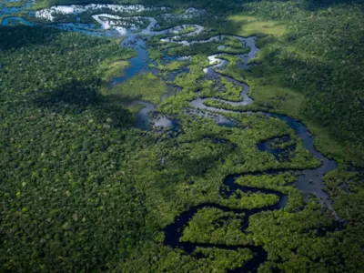 Amazon Deforestation Reaches New Low Brazil Reports 66% Drop In July