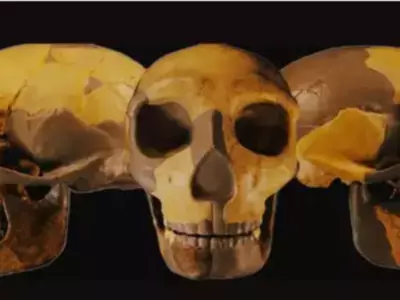 Ancient Skull Unearthed In China