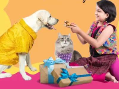 Desis Embrace A Unique Tradition Of Tying Rakhi To Their Beloved Dogs