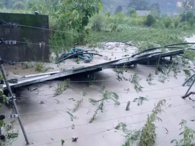 Farmers' fields and solar fencing damaged due to flood in Beas river in Syoh panchayat in Mandi district