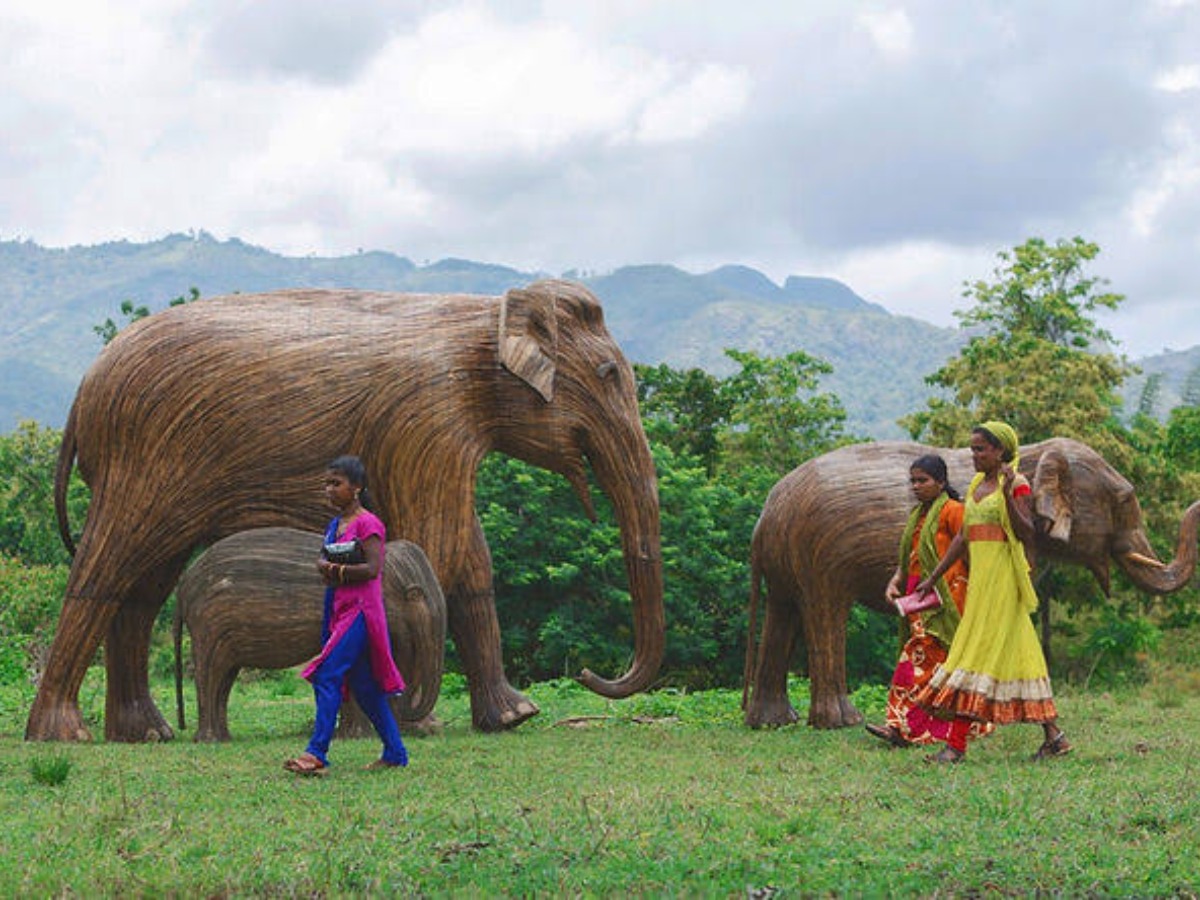 World Elephant Day: These Tribals Are Aiding Jumbos By Making