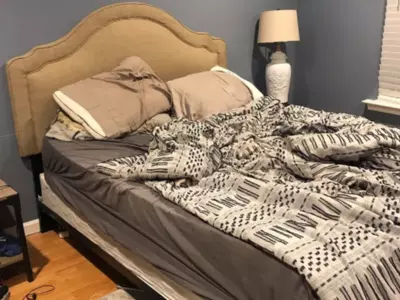 In 10 Seconds, Spot The Sneaky Dog Hiding In This Messy Bedroom