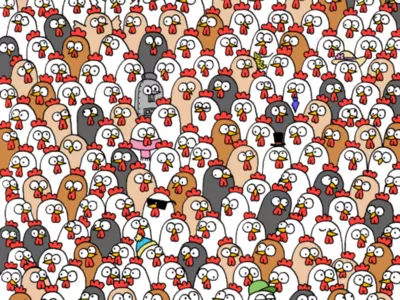 In Just 20 Seconds, Spot The 3 Owls Hiding Among The Chickens