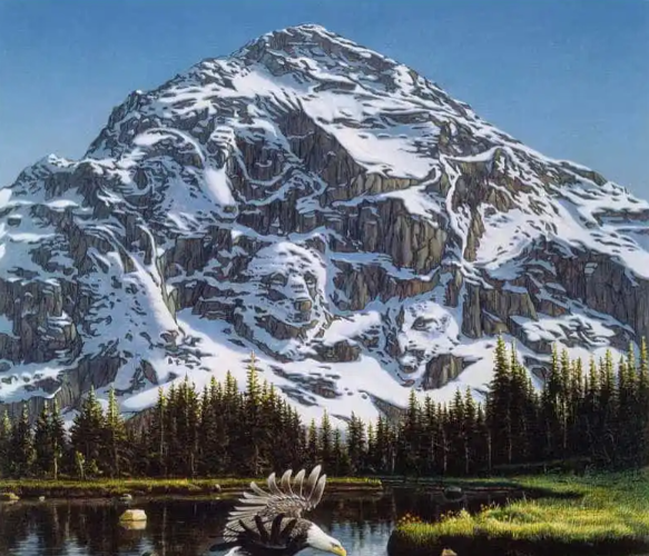 It takes less than 10 seconds to spot the second eagle on this mountain in this optical illusion