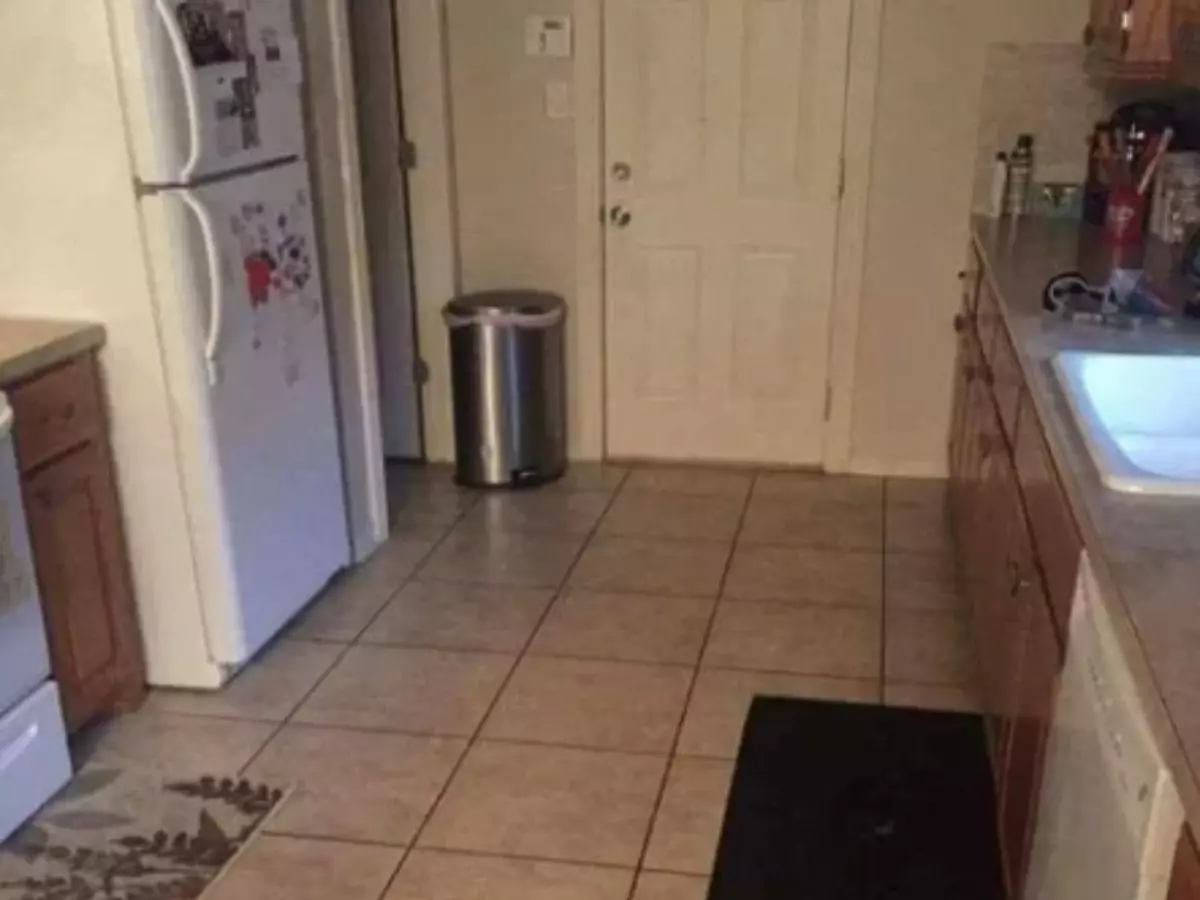 It's A Mind-boggling Optical Illusion Find The Dog Hidden In The Kitchen In 10 Seconds It's A Mind-boggling Optical Illusion Find The Dog Hidden In The Kitchen In 10 Seconds