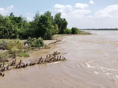 Khoh river cutting in the village of Dhampur tehsil despite the wooden studs